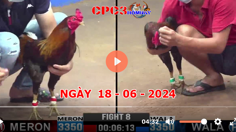 Đá gà trực tiếp C3 ngày 18-06-2024