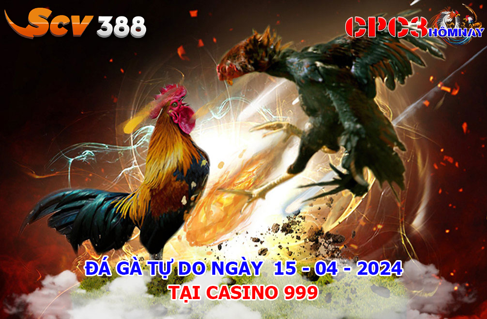 Giải Đá Gà Tự Do CPC3 ngày 15-04-2024 tại Casino 999