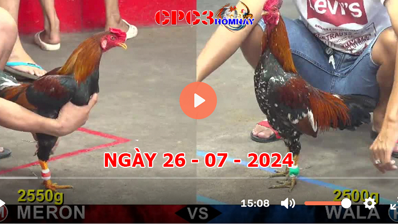 Đá gà trực tiếp C3 ngày 26-7-2024