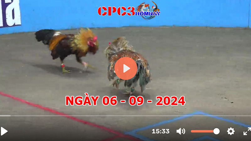 Đá gà trực tiếp C3 ngày 06-9-2024