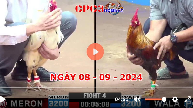 Đá gà trực tiếp C3 ngày 08-9-2024